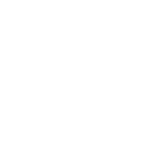 logo lg weiss 800